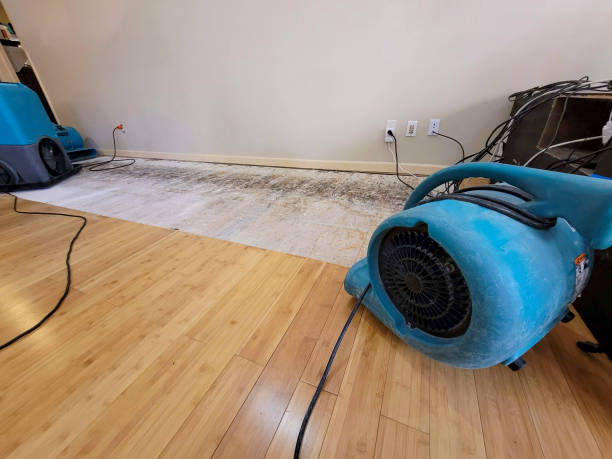 Professional Basement Flood Cleanup technician working in Somonauk, IL